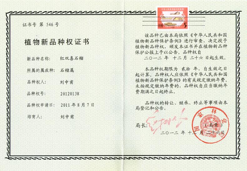 植物新品種權(quán)證書 植物新品種權(quán)證書